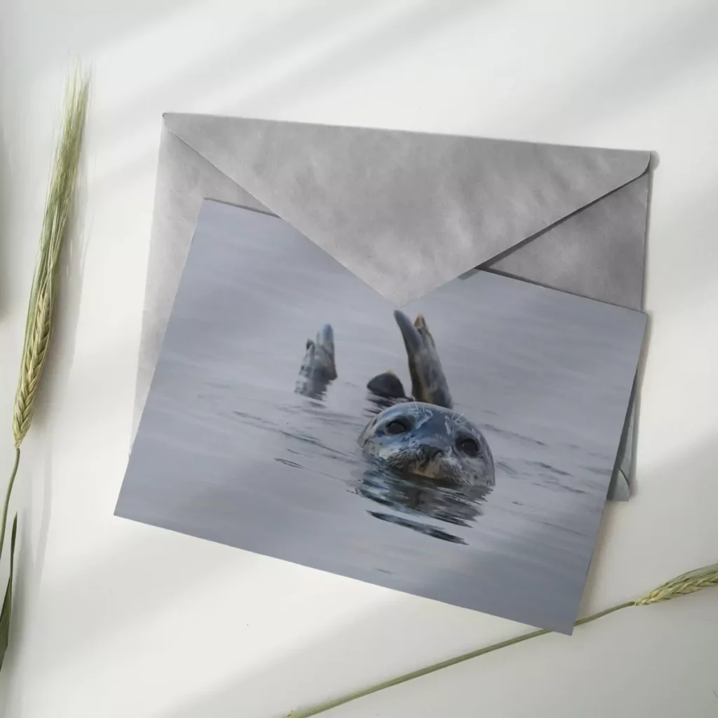 postcard with seal